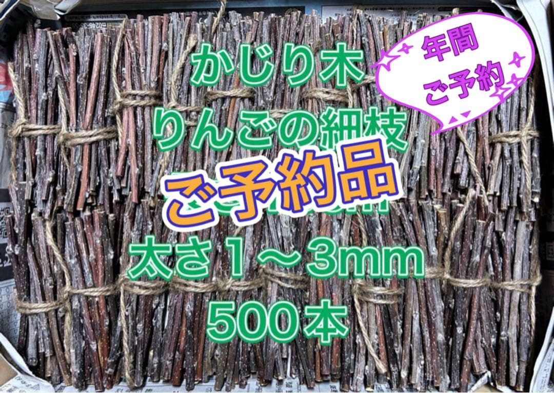 CCHIKAA様　年間ご予約品　かじり木　りんごの細枝　太さ1〜3mm 500本