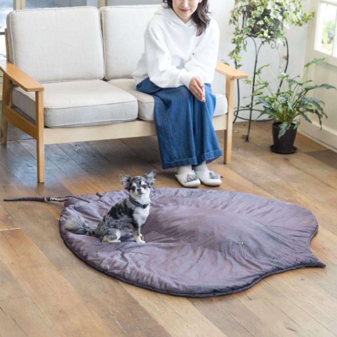 新品 世界最大の淡水エイ ヒマンチュラ・チャオプラヤの ぬいぐるみブランケット