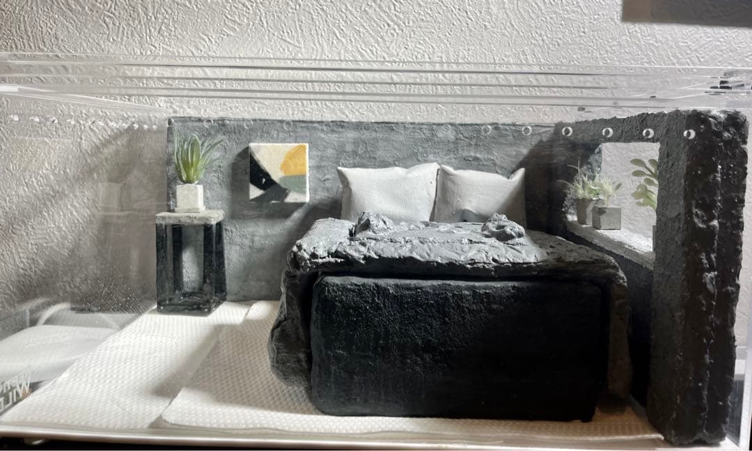 レプタイルボックス付き　レイアウトセット