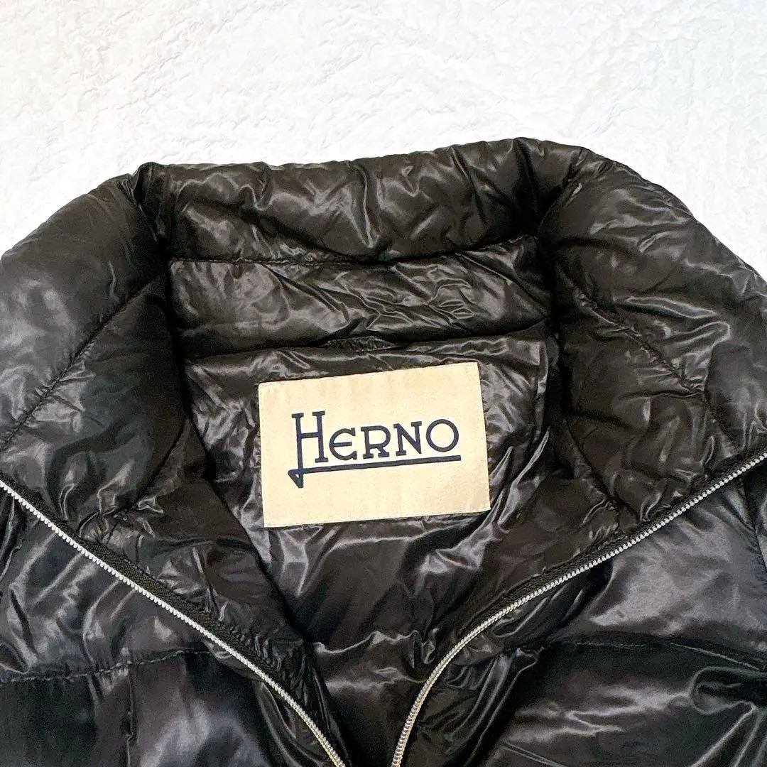 定価17万✨超軽量HERNO エコファー切替　スタンドカラーダウンコート