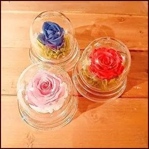 プリザーブドフラワードーム ピンクローズ