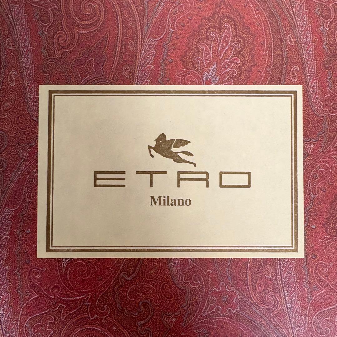 【お値下げ！専用箱&袋付】エトロ/ETROミニボストンバッグ ペイズリー 南京錠