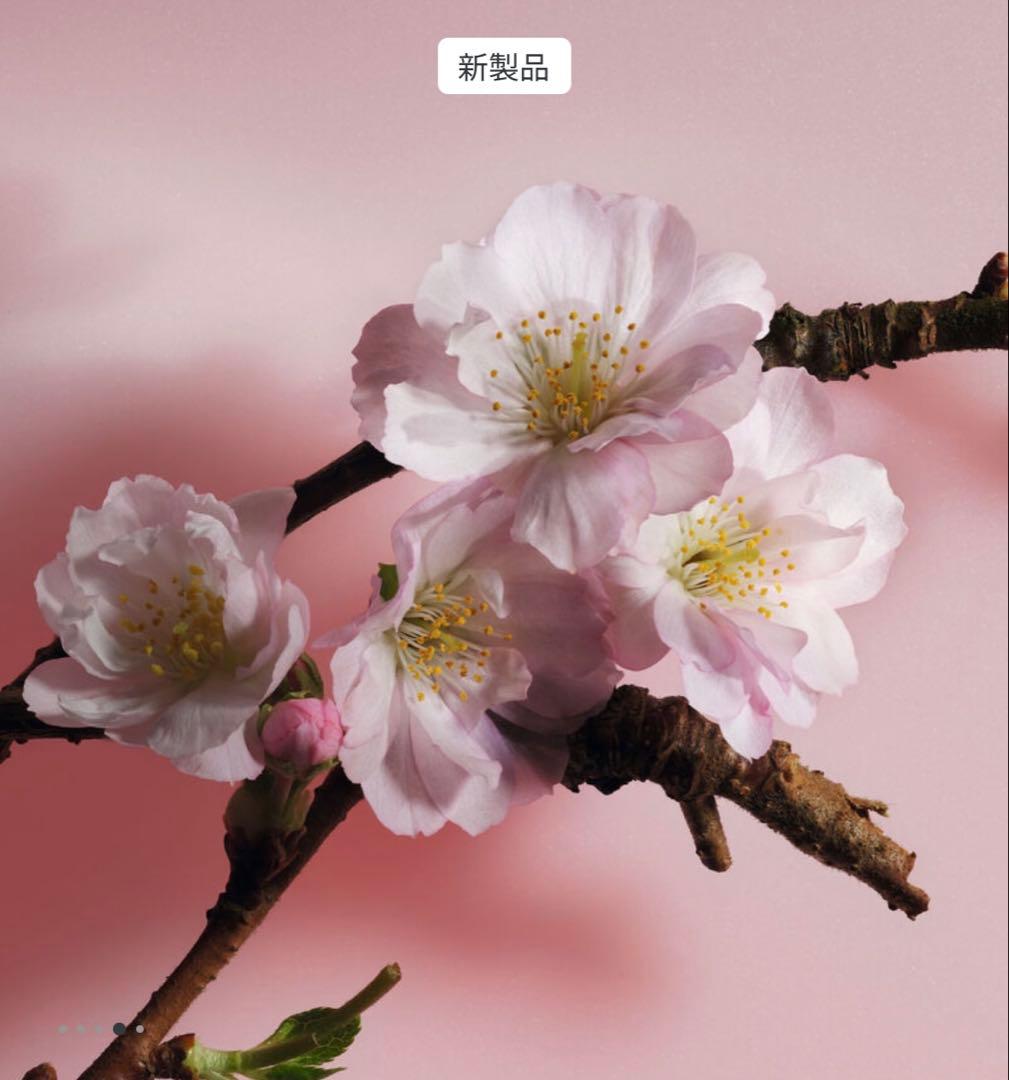 ◆Dior サクラ オードゥ パルファン 50ml 新品 正規品