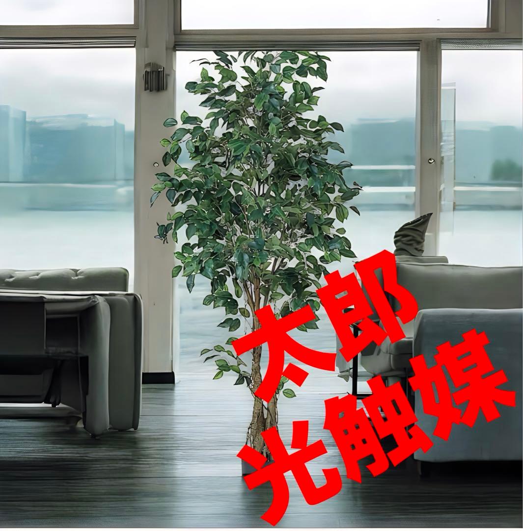 光触媒　人工観葉植物　ウォールグリーン　フェイクグリーン　フィカスツリー152
