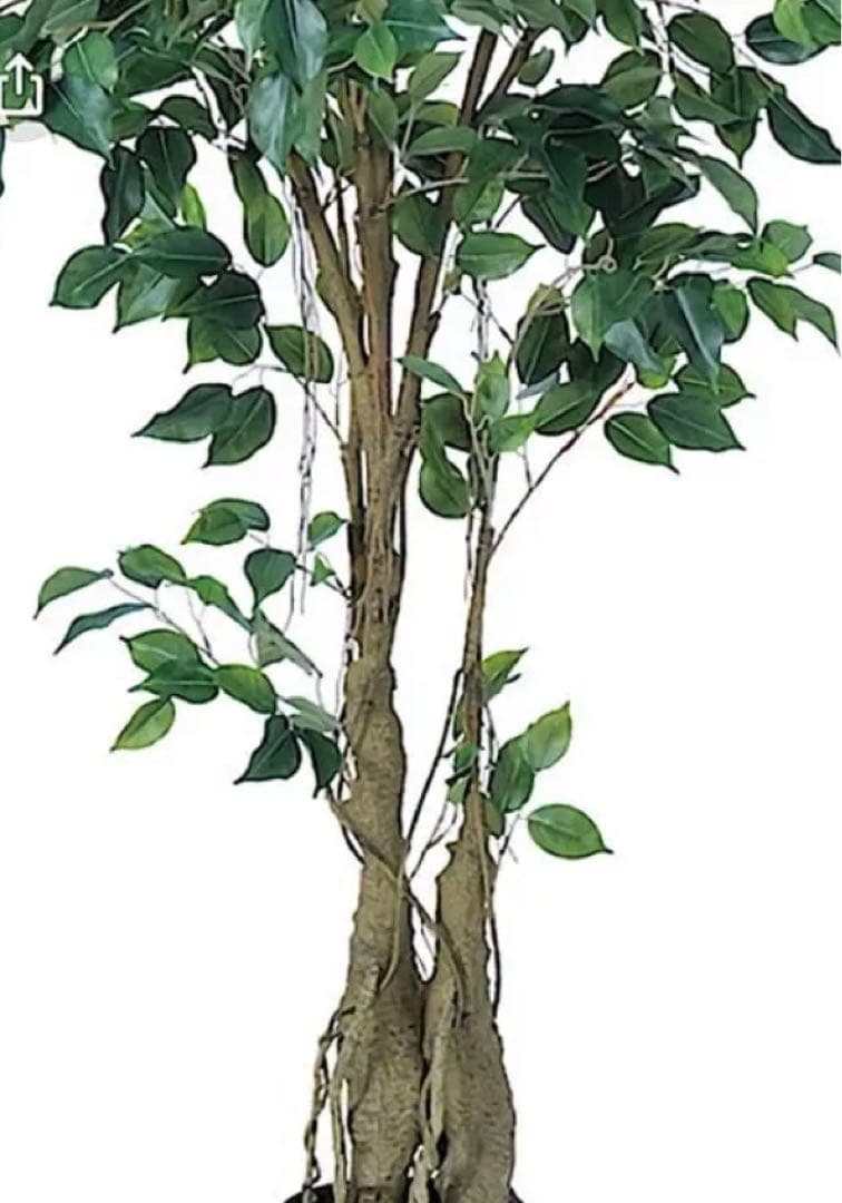 光触媒　人工観葉植物　ウォールグリーン　フェイクグリーン　フィカスツリー152