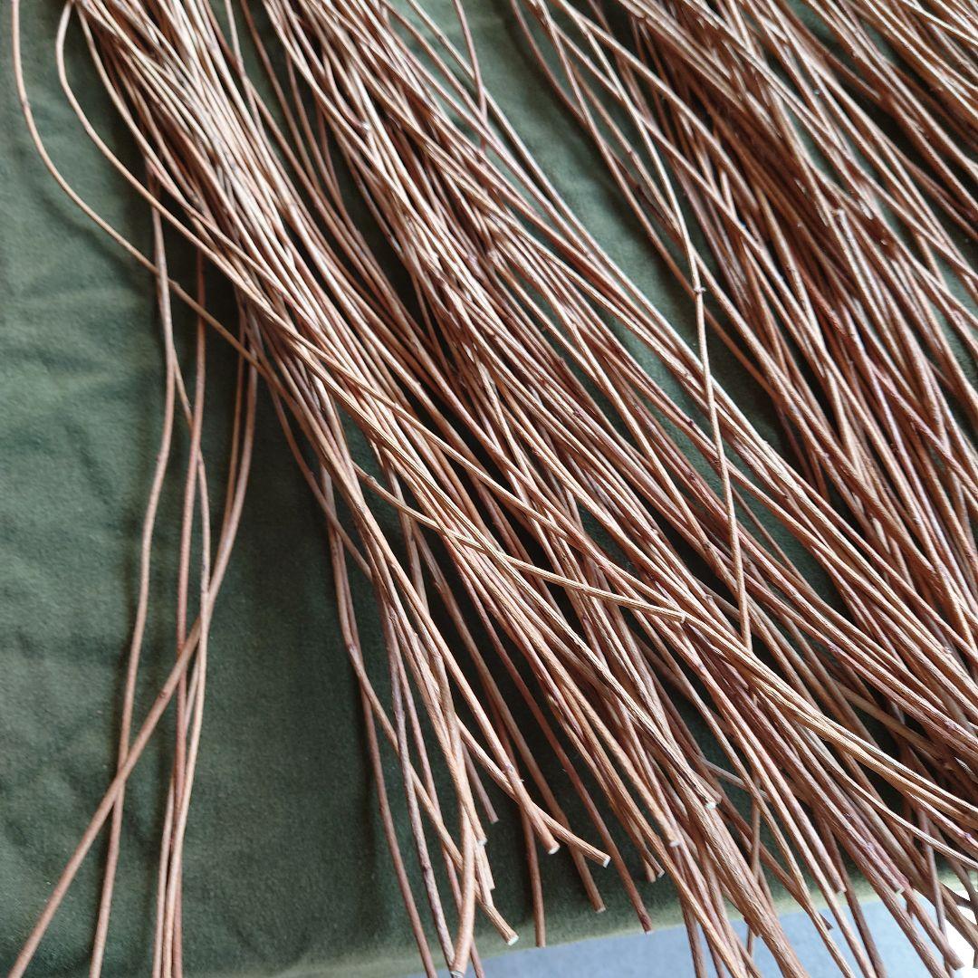 アケビの蔓(根蔓ランナー)