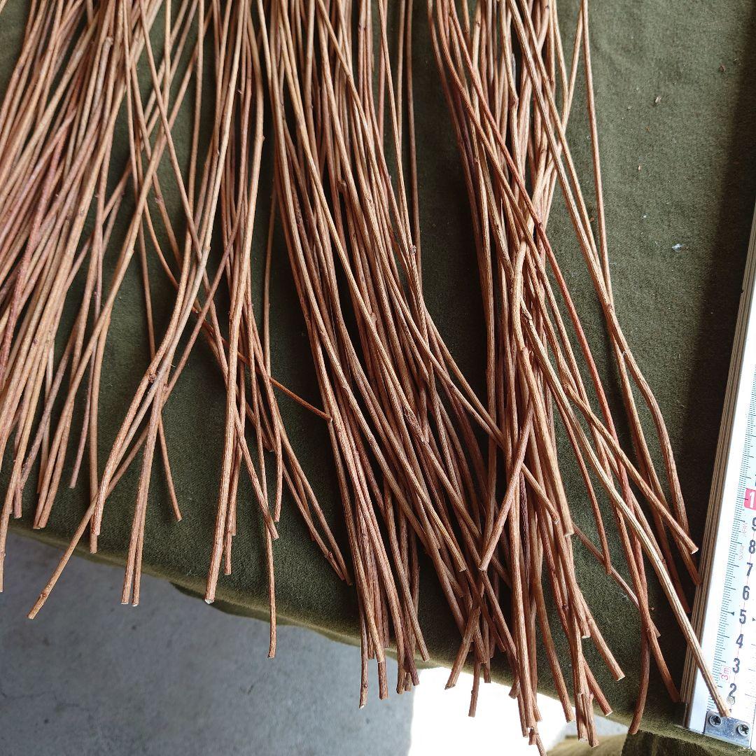 アケビの蔓(根蔓ランナー)