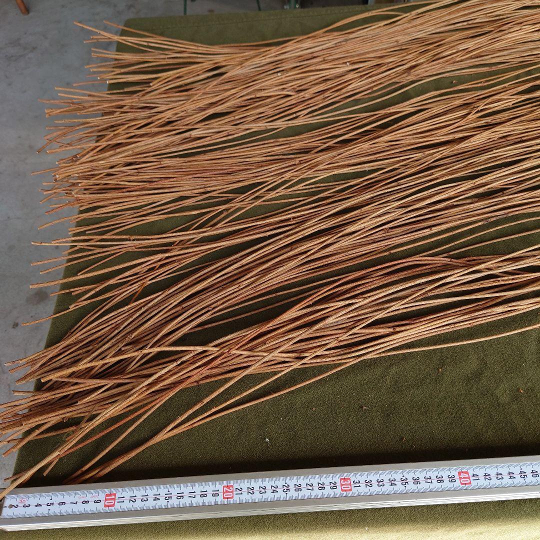 アケビの蔓(根蔓ランナー)