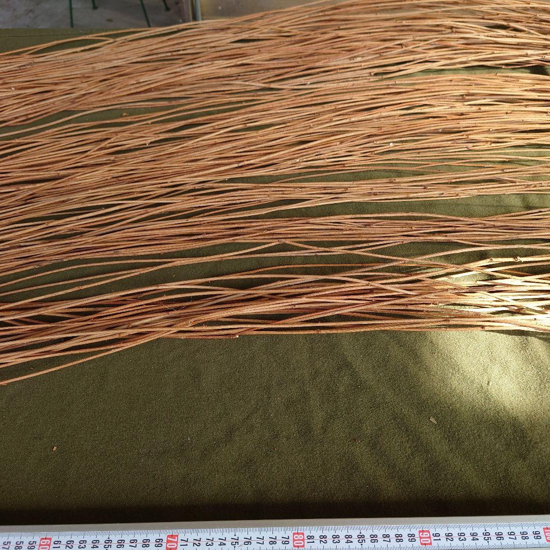 アケビの蔓(根蔓ランナー)