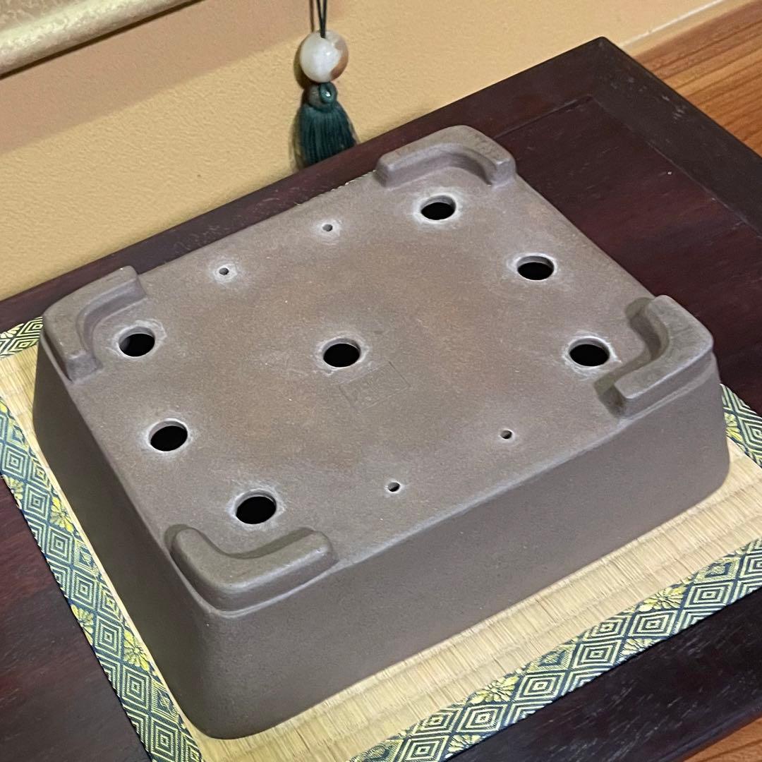 【落款あり】中村祐士 常滑 中野裕士 紫泥長方鉢