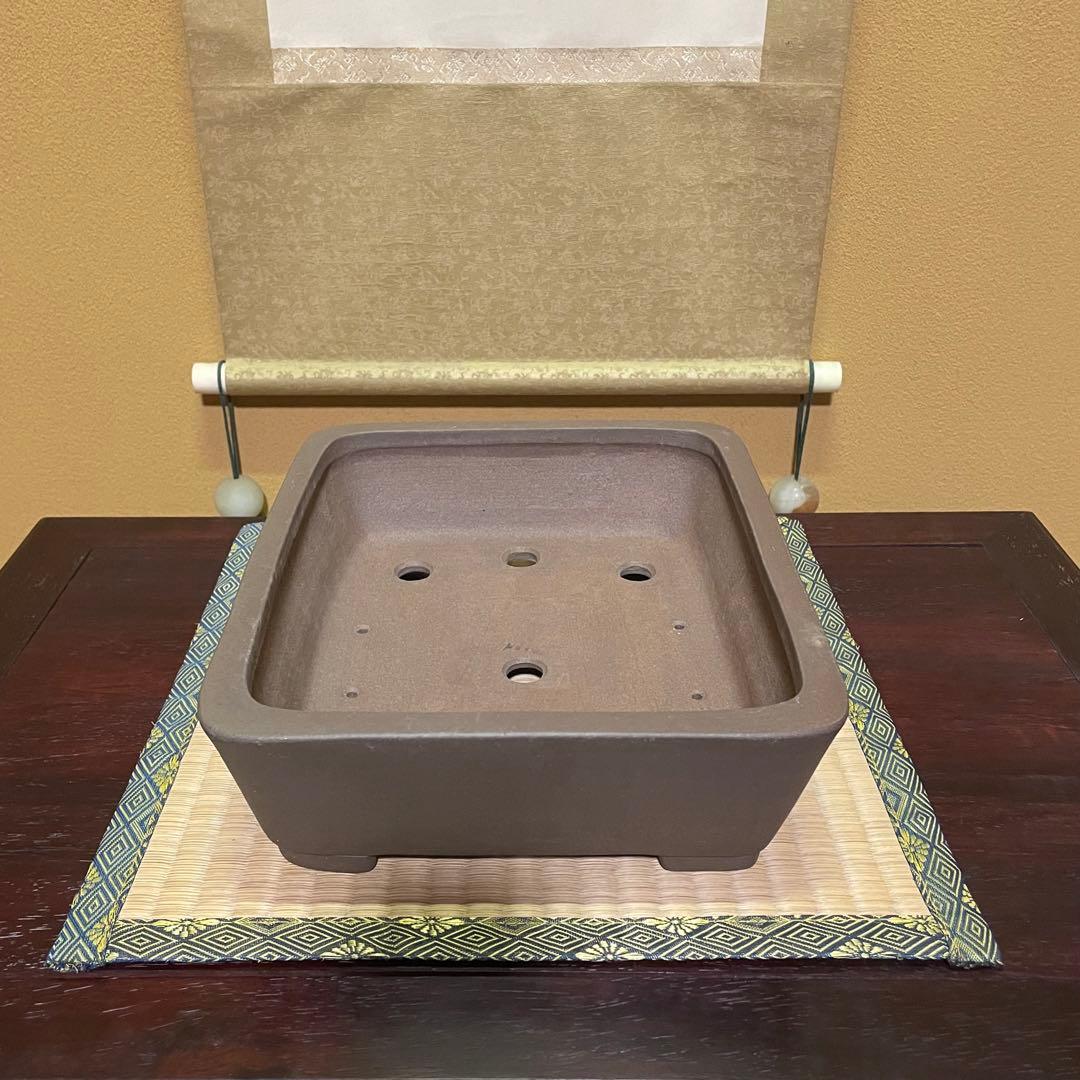 【落款あり】中村祐士 常滑 中野裕士 紫泥長方鉢