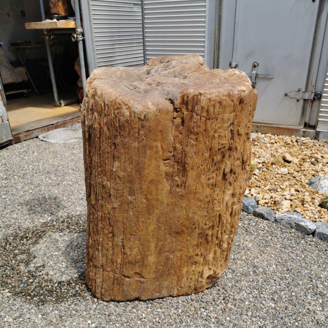 インドネシア産　珪化木　297キロ　木化石　庭石　石　鑑賞石　置物　オブジェ