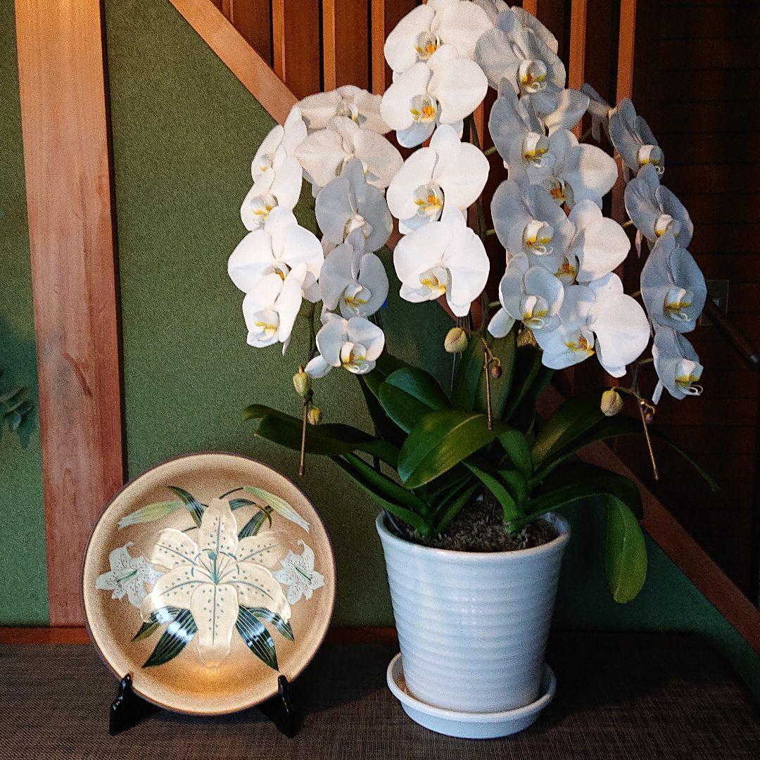 【お値下げ不可】九谷焼 飾皿 昭和天皇御生誕百年記念