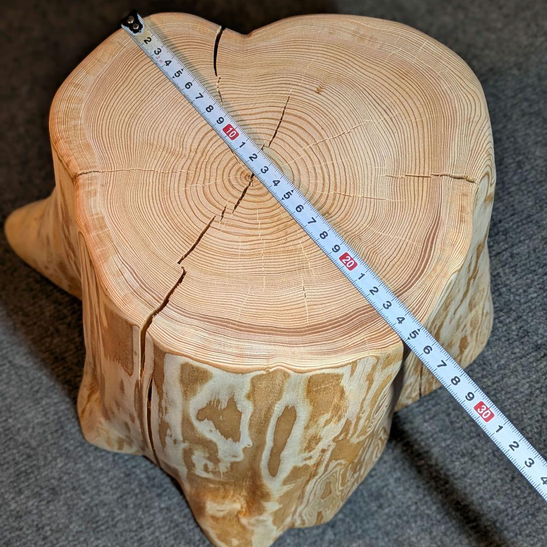 天然椹　サワラ　切り株　高さ約29.5㎝