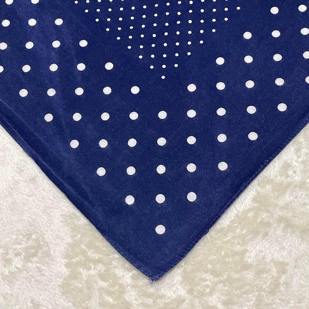 希少30s40s ポルガドット 下鼻 ゾウ 片耳 FAST COLOR