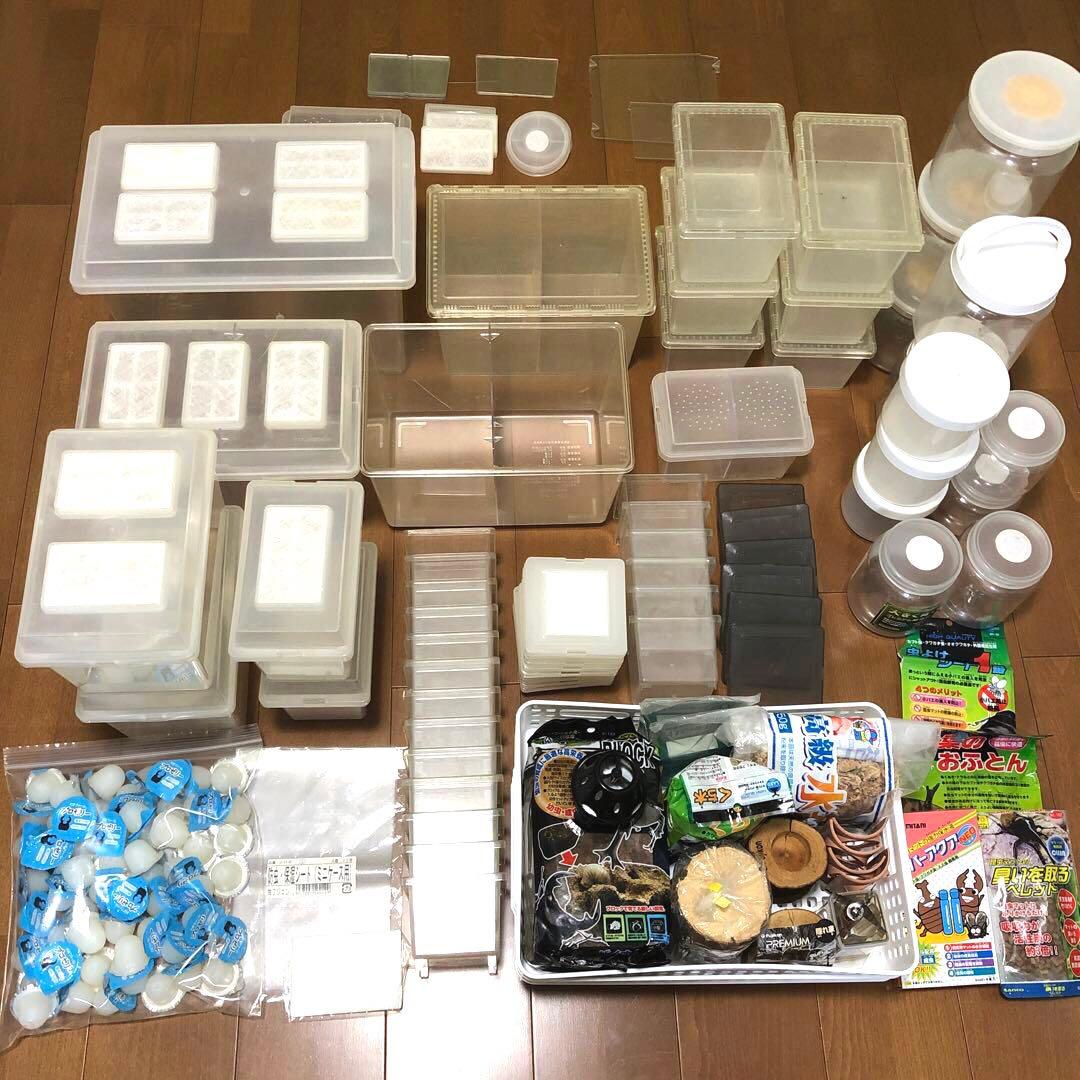 昆虫飼育　ケース　コバエシャッター　クリアスライダー　まとめ売り　おまけ多数あり