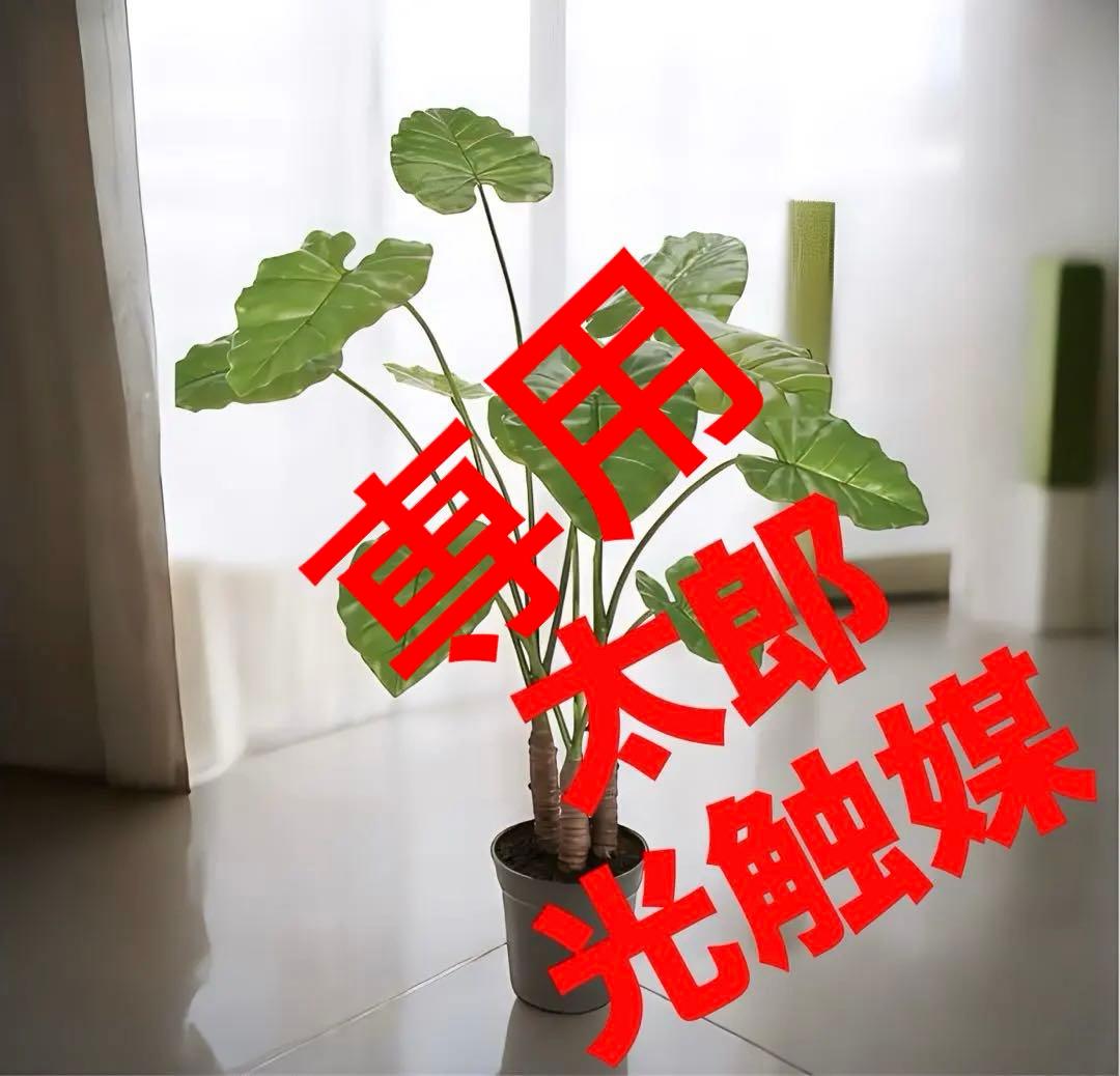 光触媒　人工観葉植物　フェイクグリーン　フラワー　クワズイモ100