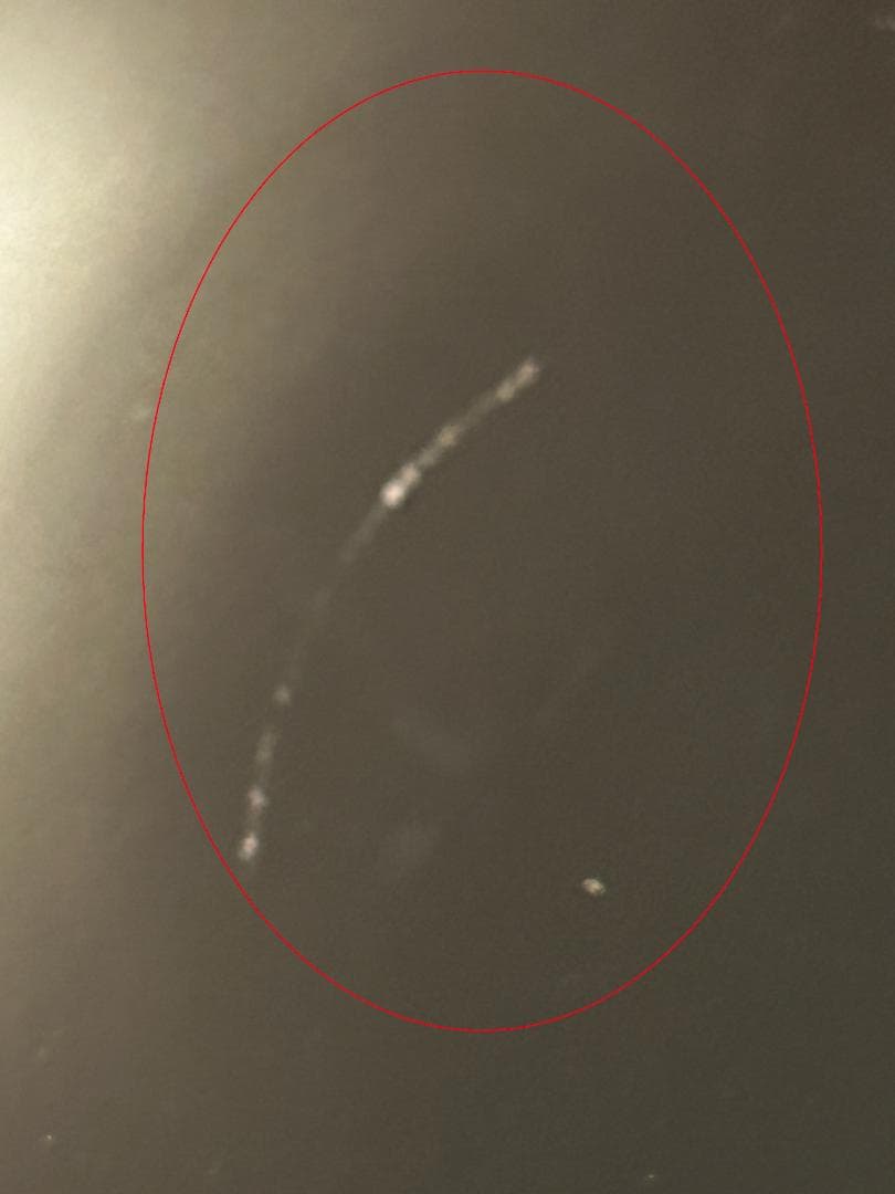 Y レア!!【未使用】輪島塗 煮物椀 10客セット 宮永作 共箱　木箱s