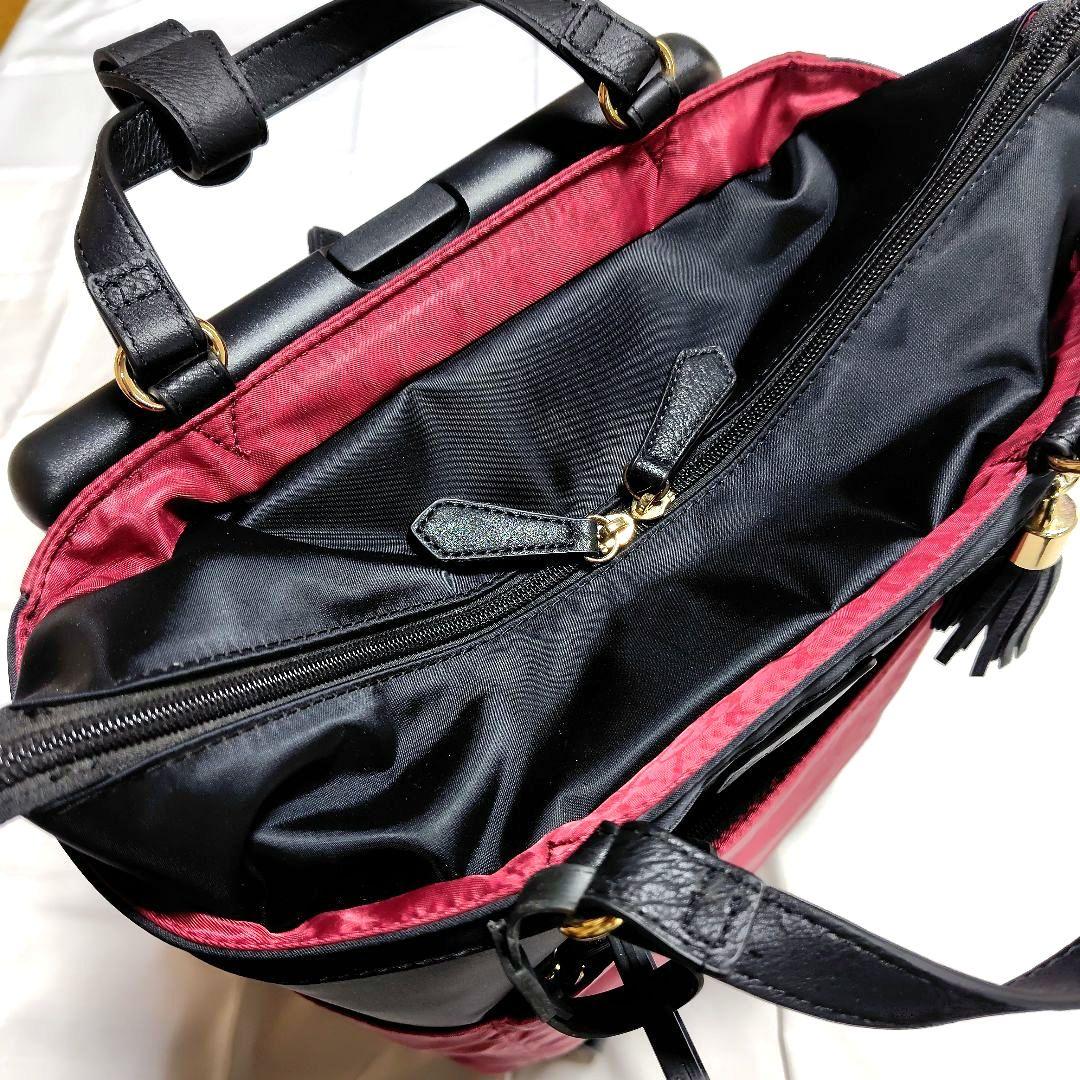 SWANY キャリーバッグ【取扱説明書付き】