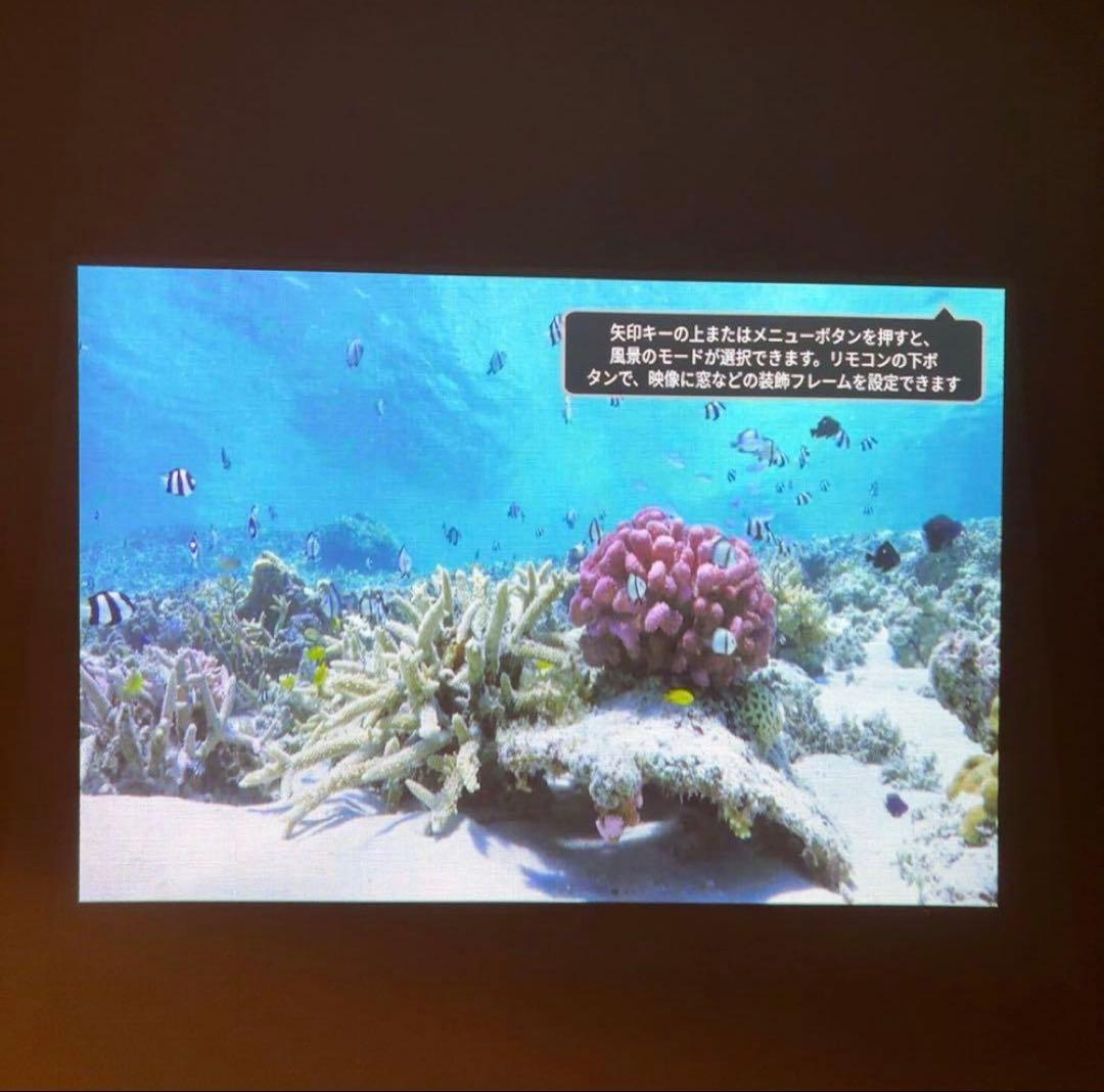 【お値引き可能‼︎】popIn Aladdin