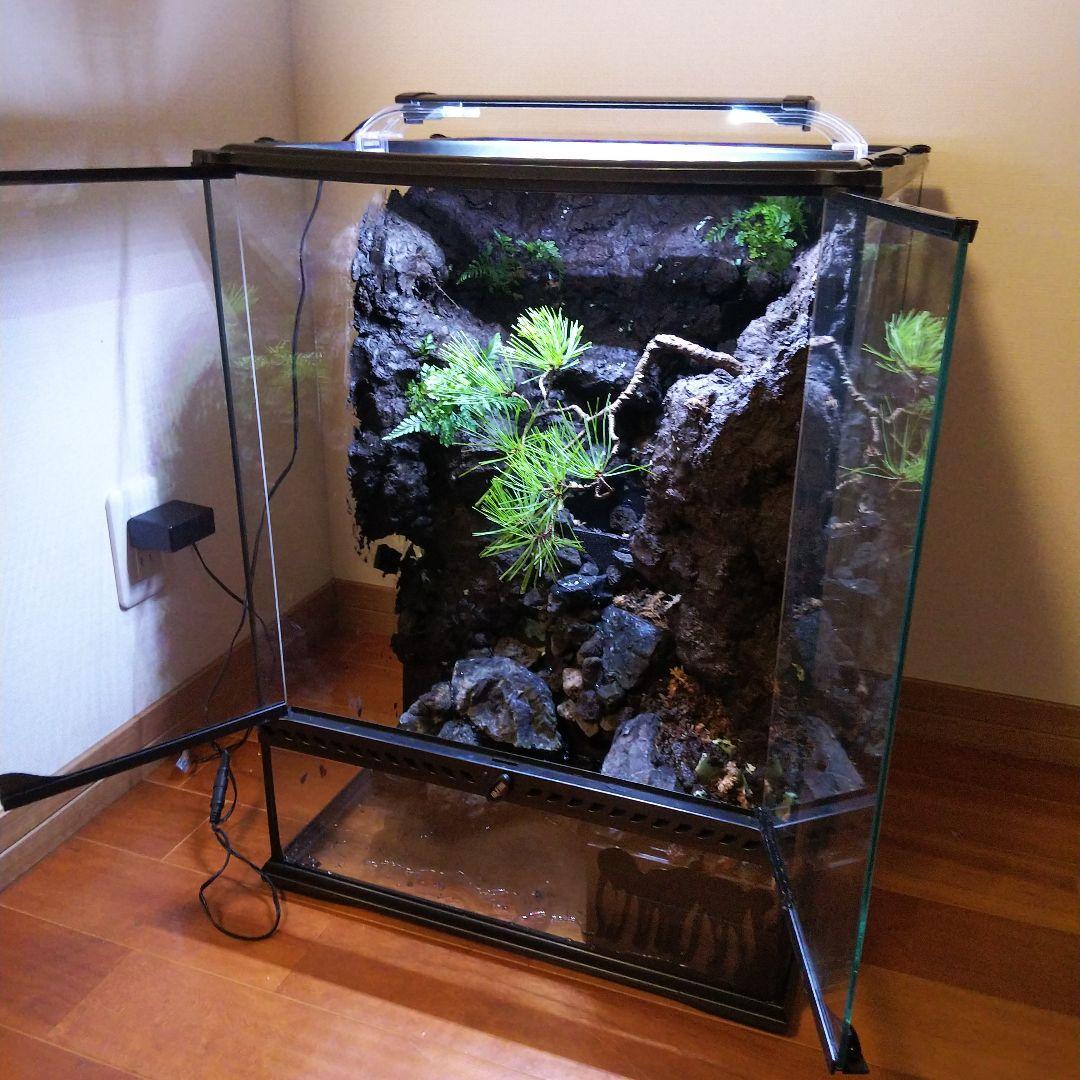 滝のあるアクアテラリウム完成品