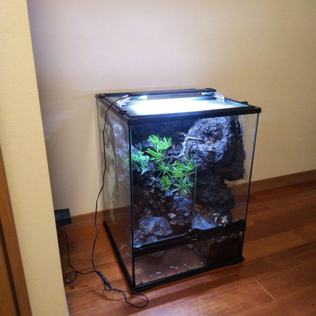 滝のあるアクアテラリウム完成品