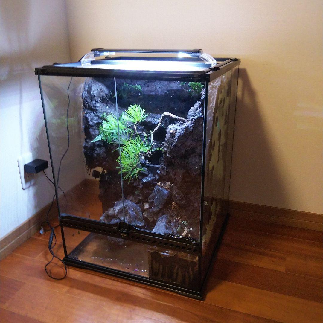 滝のあるアクアテラリウム完成品