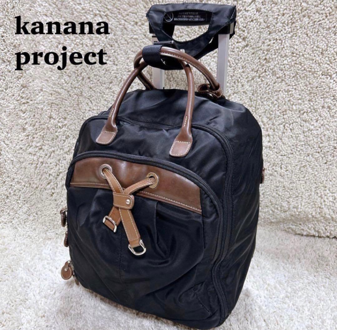 カナナ♥️キャリーケース