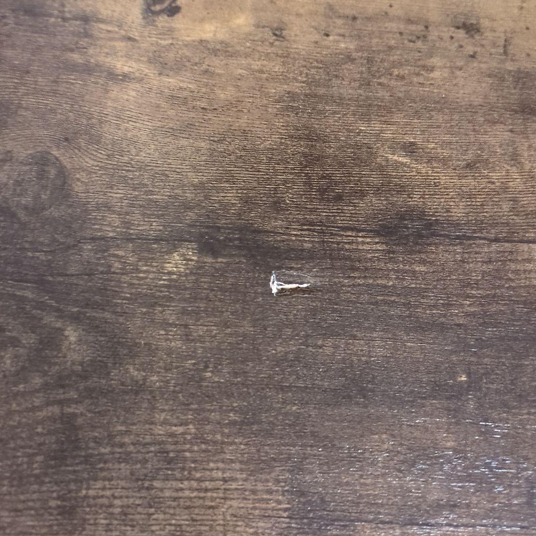 ニトリ　こたつ　布団付き