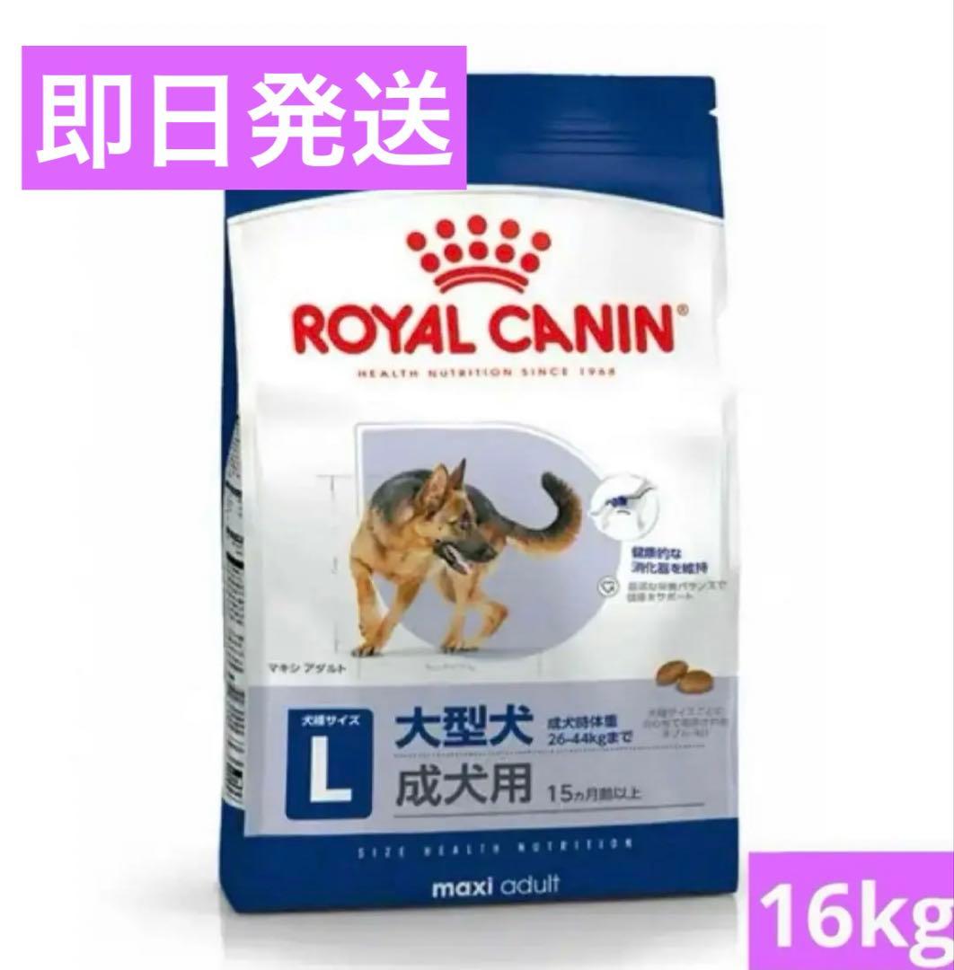  CANIN 大型犬用 ドライフード 16kg