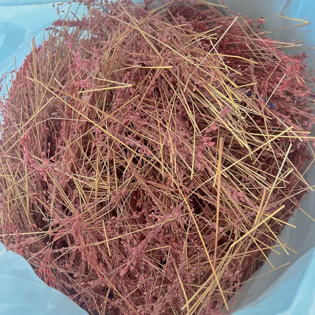 大量!! 総額8万円相当 アンティークフラワー ドライフラワーオブジェセット