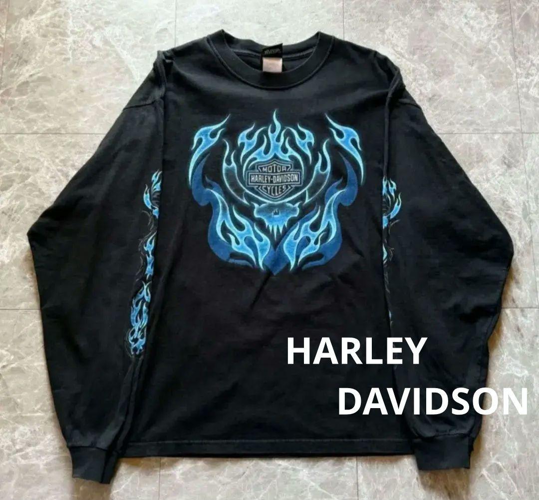 ハーレーダビッドソン ロンT ブルーフレイム ファイヤー USA製
