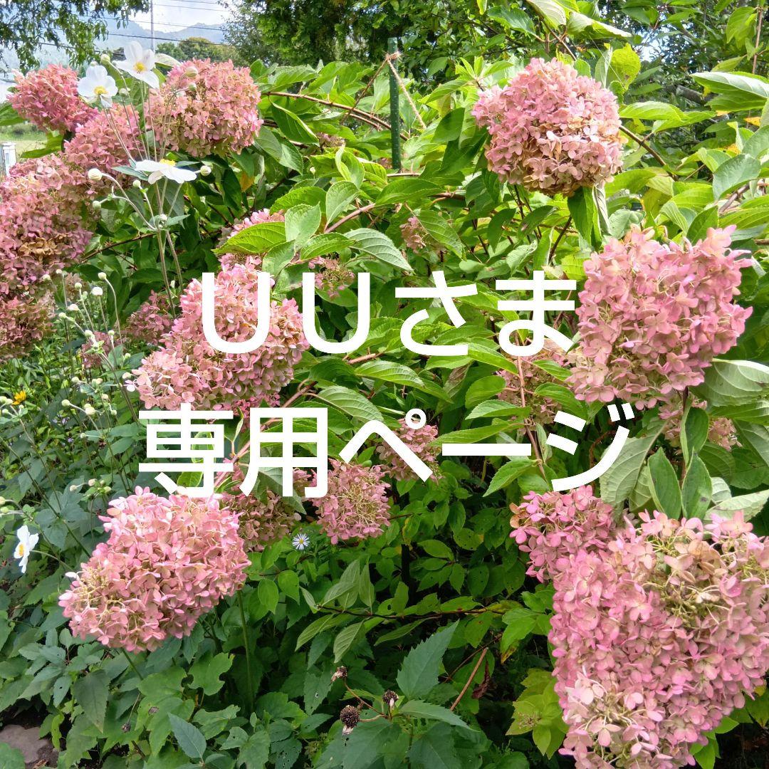 ＵＵさま専用ページ