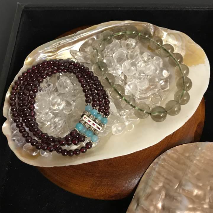 ★特選一点貝★コレは買いだ！【そう、イケチョウ貝だ】