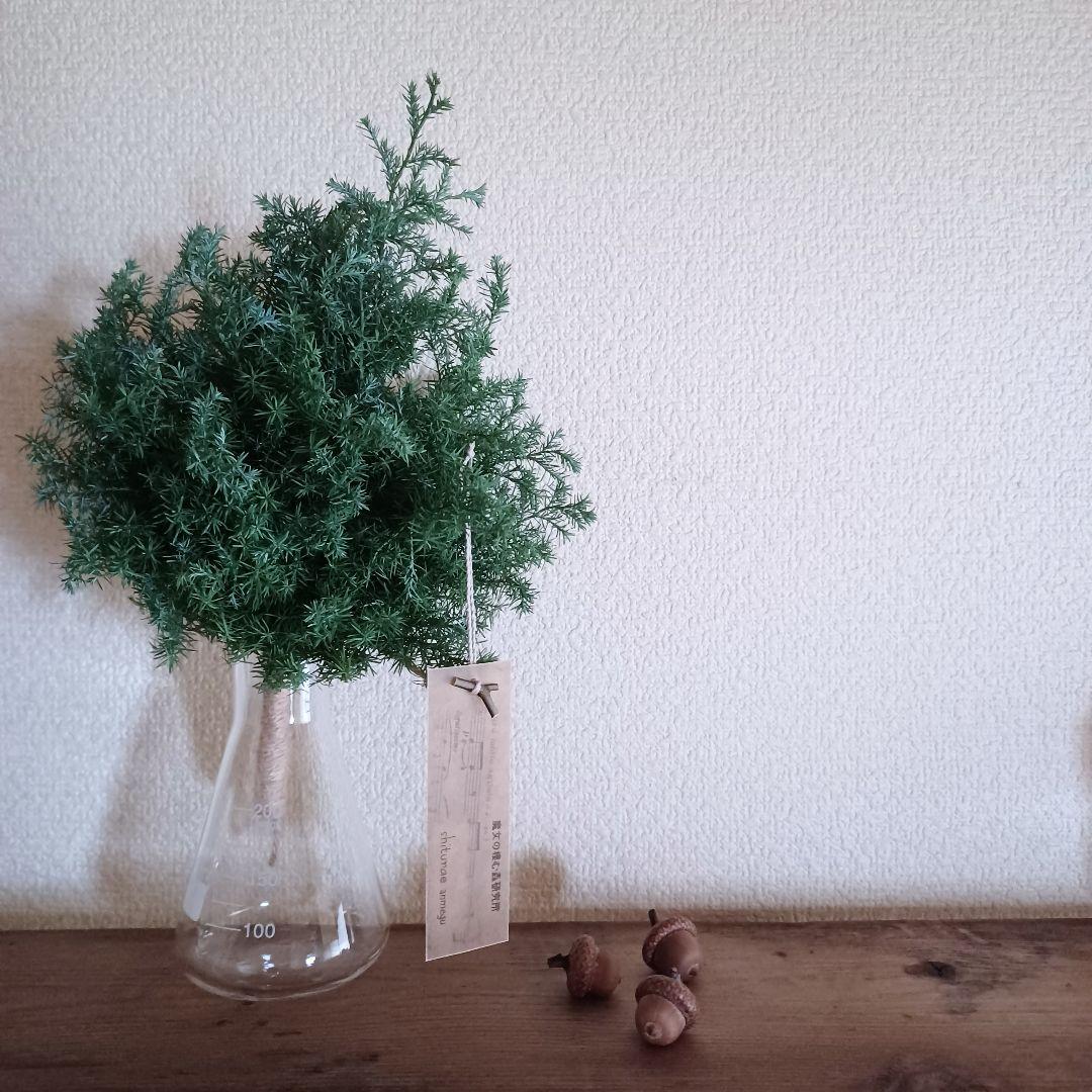 新品 未使用 ドライフラワー スワッグ ヒムロスギ 【order】