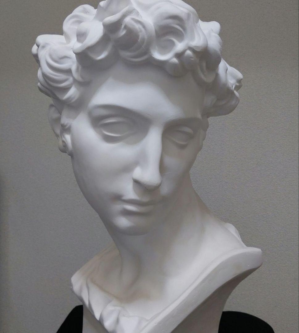 メディチ 石膏像