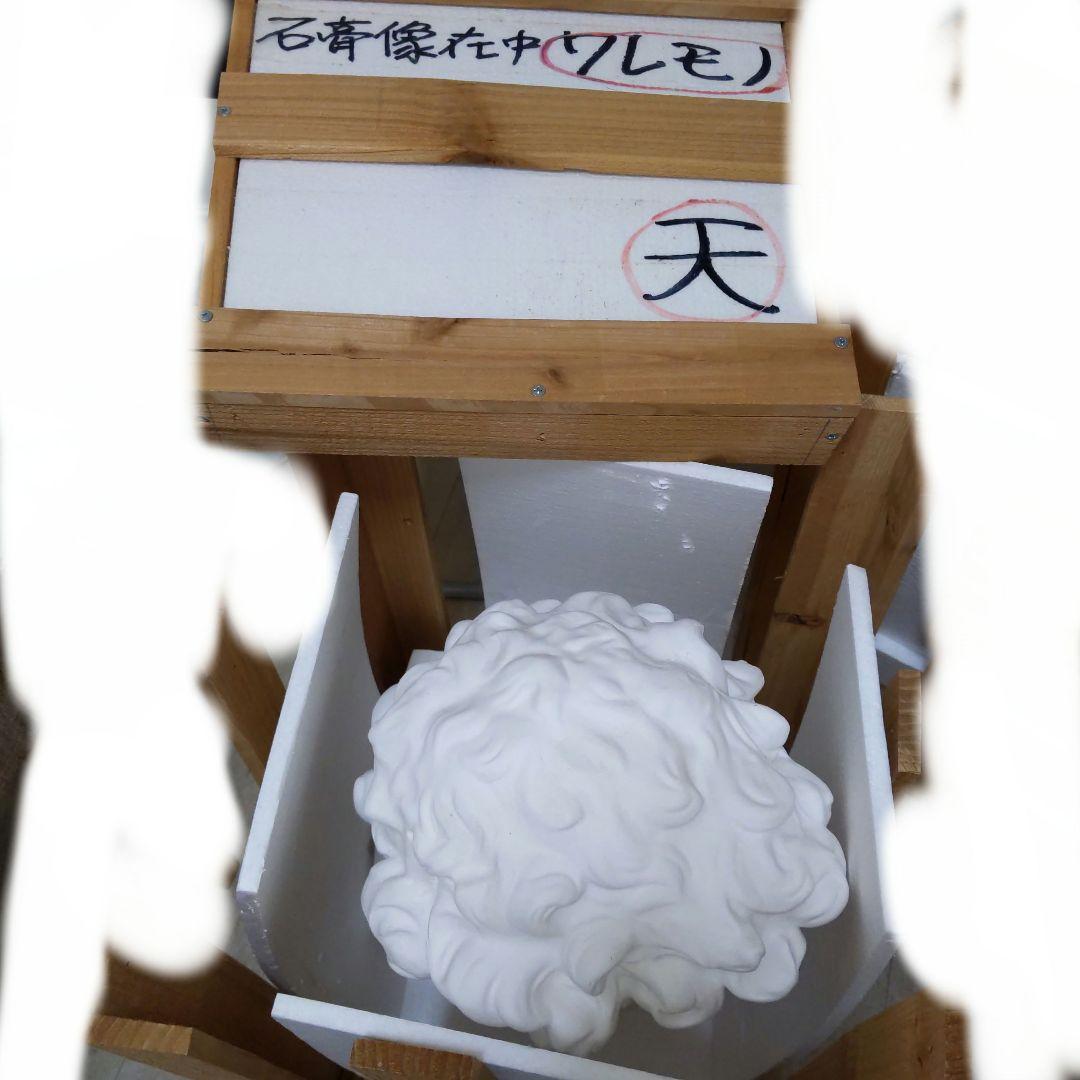 メディチ 石膏像