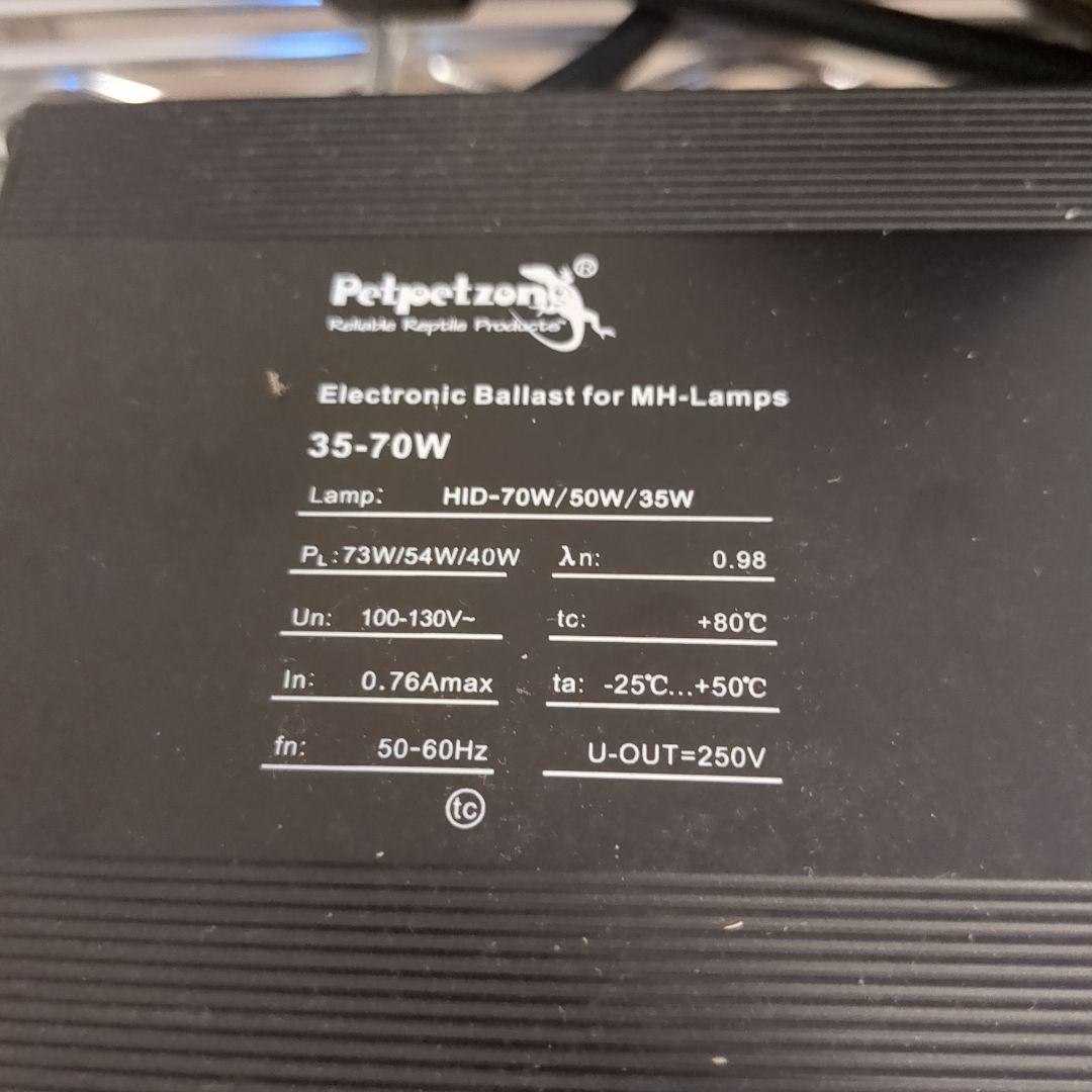 爬虫類照明　メタハラ