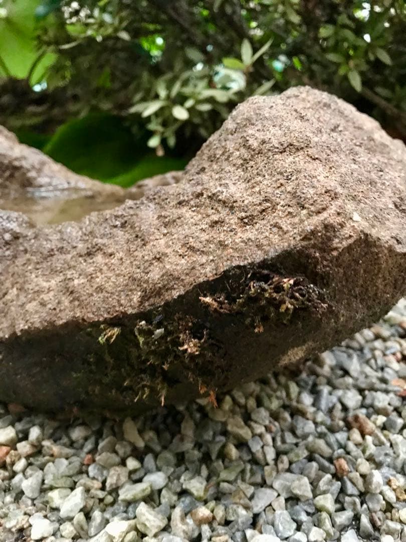 【石鉢・寄せ植え鉢・多肉植物鉢・一輪挿し】ガーデニング造園水石飾り石箱庭