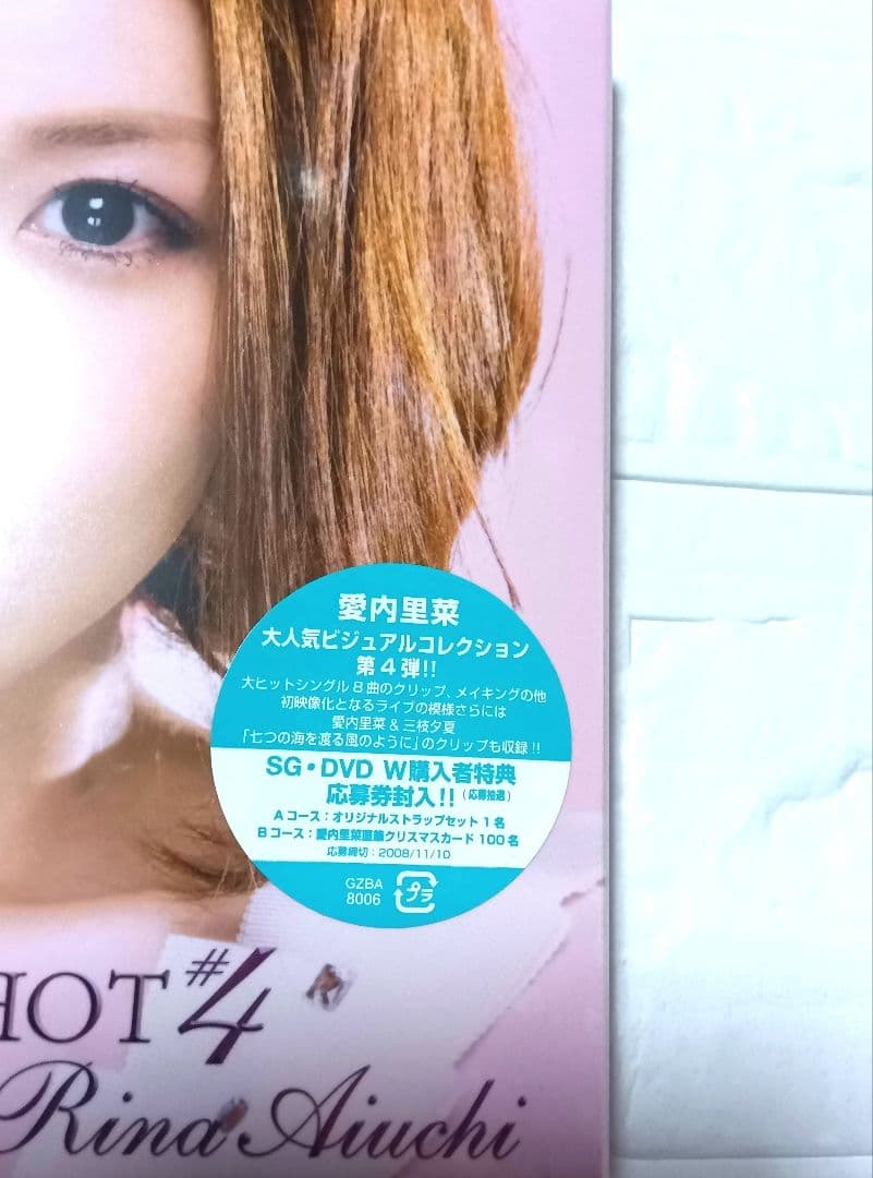 愛内里菜/PREMIER SHOT #1 VISUAL COLLECTION