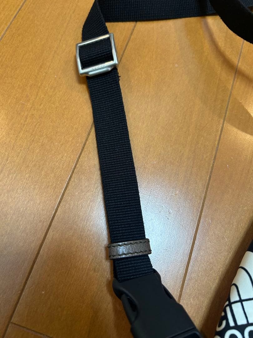 GUCCI × THE NORTH FACE ウエストバッグ ボディバッグコラボ