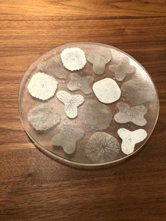 八木 麻子 さん　ブーケ　ガラス　プレート　皿