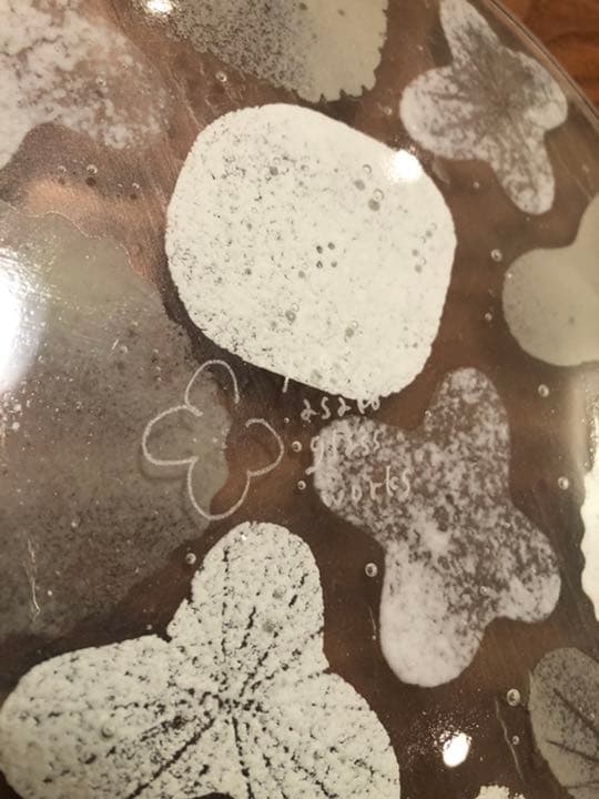 八木 麻子 さん　ブーケ　ガラス　プレート　皿