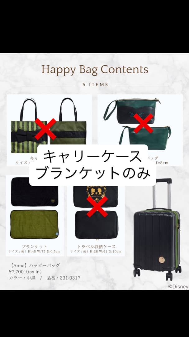 ちはるさん　アナ雪　アナ　キャリーケース　ブランケット　キャリーバッグ　しまむら