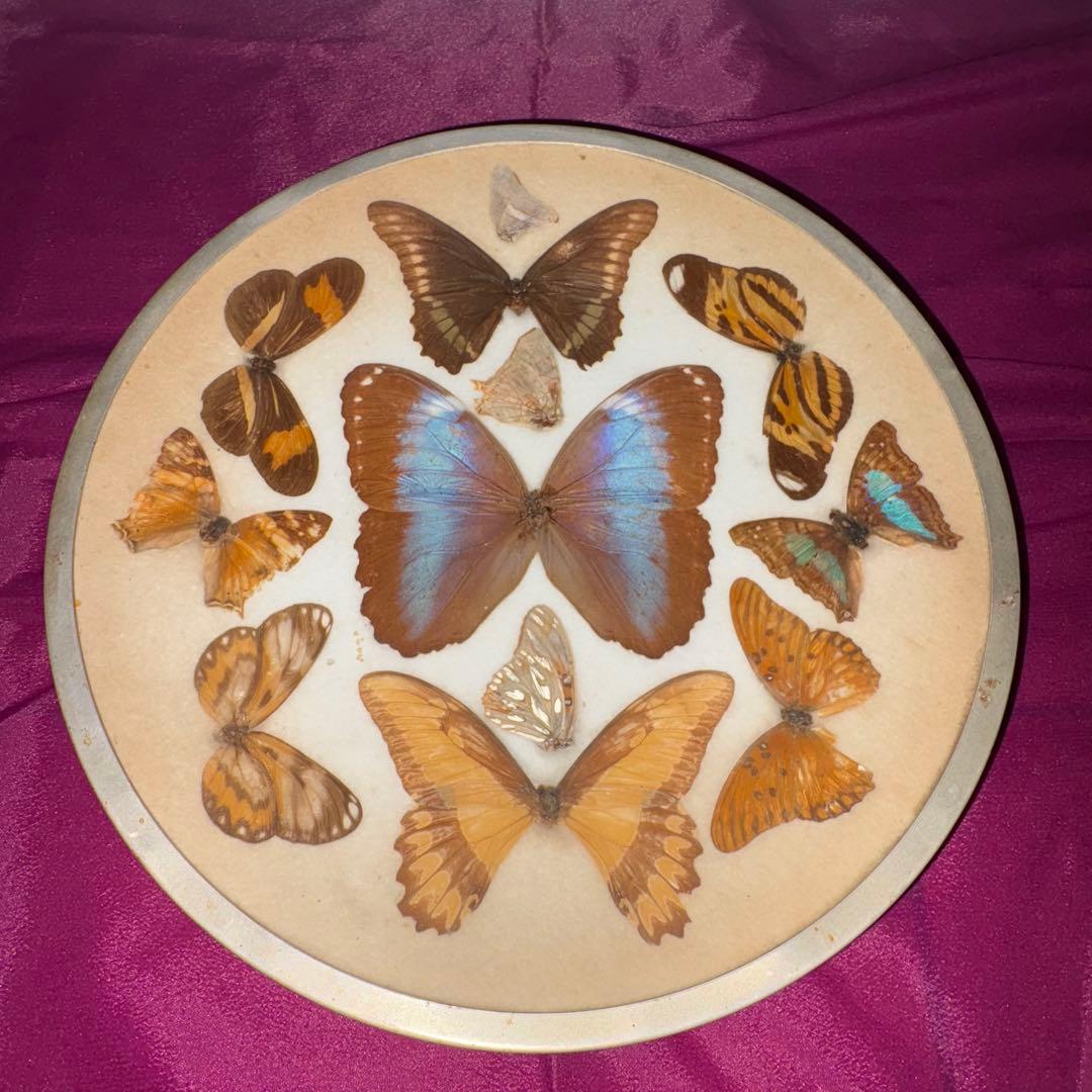 ︎✴︎Y2K ブラジル産 60年前 ブラジル牢人 OPIUM 平成 裏原 ✳︎⭐︎