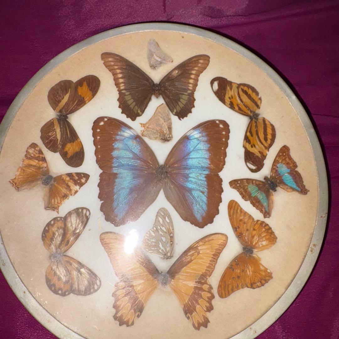 ︎✴︎Y2K ブラジル産 60年前 ブラジル牢人 OPIUM 平成 裏原 ✳︎⭐︎