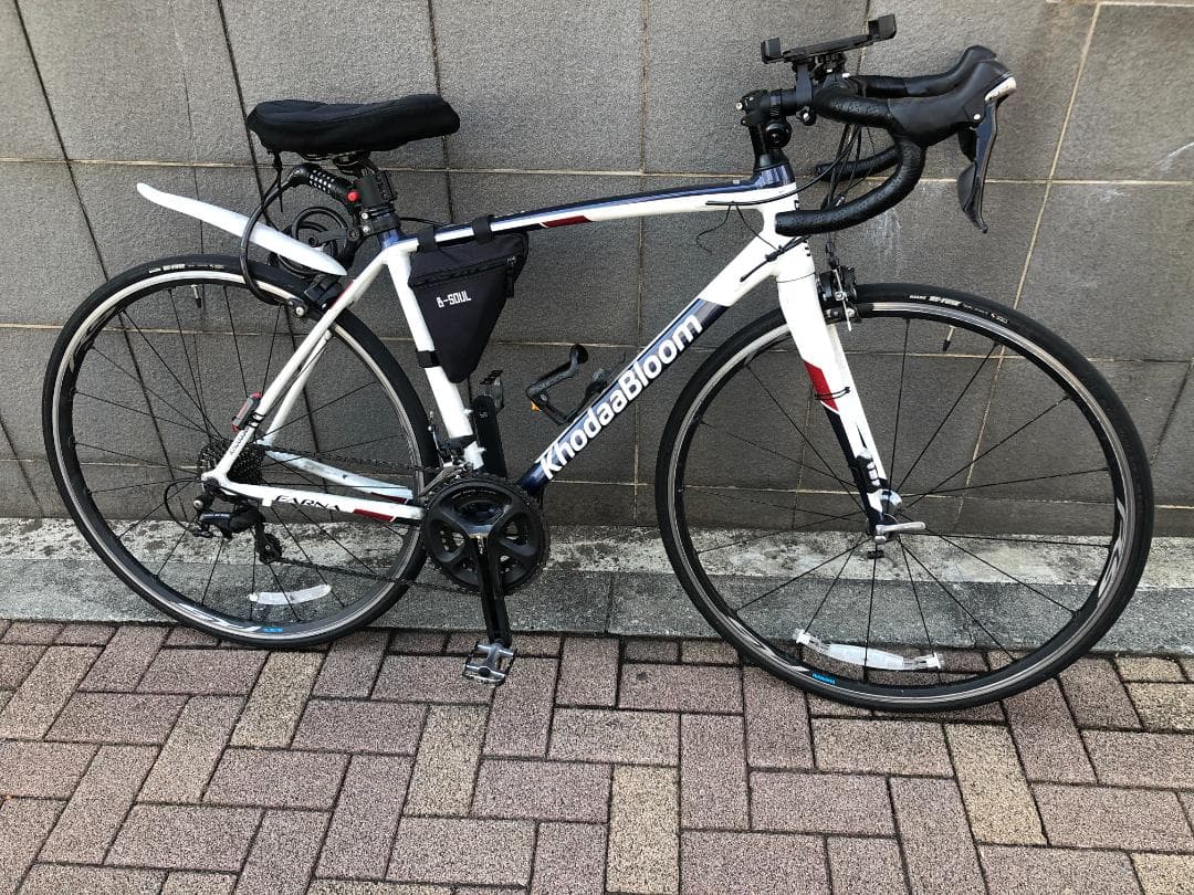 【船橋直接引渡のみ】Khodaa Bloom FARNA 700-105