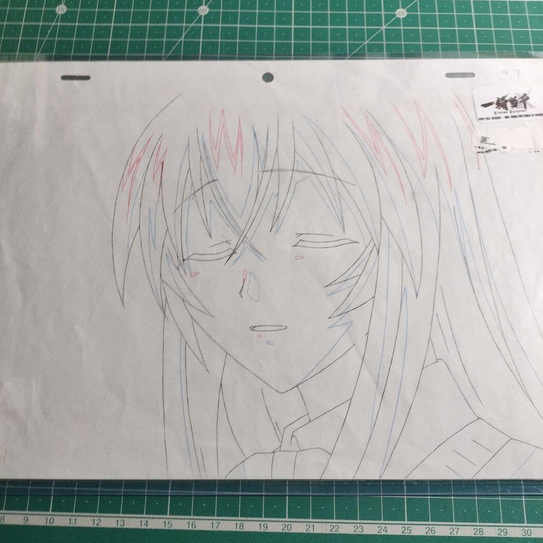 一騎当千14巻直筆サイン本初版＆孫策伯符生動画