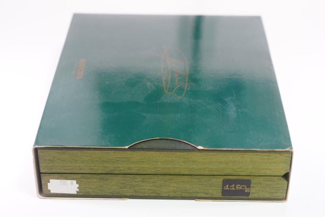 AURORA アウロラ ジュゼッペ・ヴェルディ オペラ 万年筆 限定品 新品