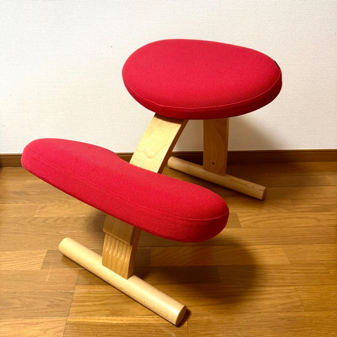 【美品】バランスイージー Rybo リボ社 バランスチェア 姿勢改善 カバー付き